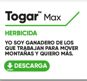 Togar